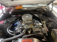 1971 Ford Mustang for sale in Addison, Illinois (ID-126994)