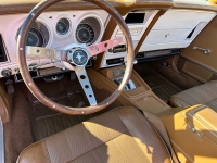 1971 Ford Mustang for sale in Addison, Illinois (ID-126994)