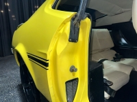 1971 Ford Mustang for sale in Addison, Illinois (ID-127455)