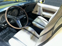 1971 Ford Mustang for sale in Addison, Illinois (ID-127455)