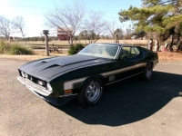 1971 Ford Mustang for sale in Michigan (ID-127915)