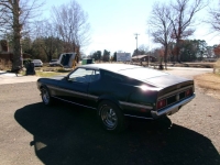 1971 Ford Mustang for sale in Michigan (ID-127915)