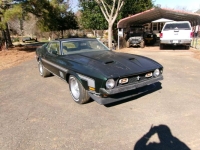 1971 Ford Mustang for sale in Michigan (ID-127915)