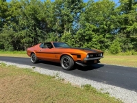 1971 Ford Mustang for sale in Michigan (ID-130967)