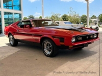 1971 Ford Mustang for sale in Riverhead, New York (ID-131021)
