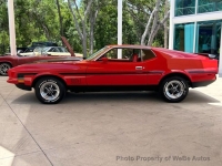 1971 Ford Mustang for sale in Riverhead, New York (ID-131021)