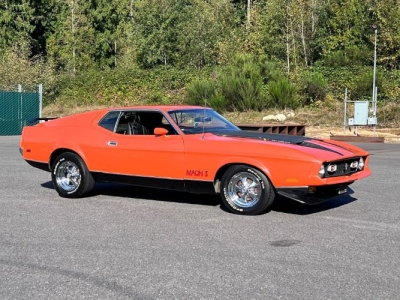1971 Ford Mustang for sale