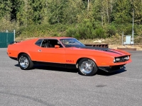 1971 Ford Mustang for sale in Michigan (ID-134675)