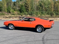 1971 Ford Mustang for sale in Michigan (ID-134675)