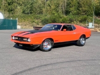 1971 Ford Mustang for sale in Michigan (ID-134675)