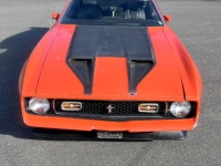 1971 Ford Mustang for sale in Michigan (ID-134675)