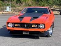 1971 Ford Mustang for sale in Michigan (ID-134675)