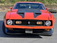 1971 Ford Mustang for sale in Michigan (ID-134675)