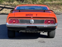 1971 Ford Mustang for sale in Michigan (ID-134675)