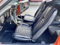 1971 Ford Mustang for sale in Michigan (ID-134675)