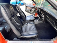 1971 Ford Mustang for sale in Michigan (ID-134675)