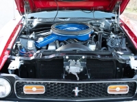 1971 Ford Mustang for sale in Michigan (ID-136454)