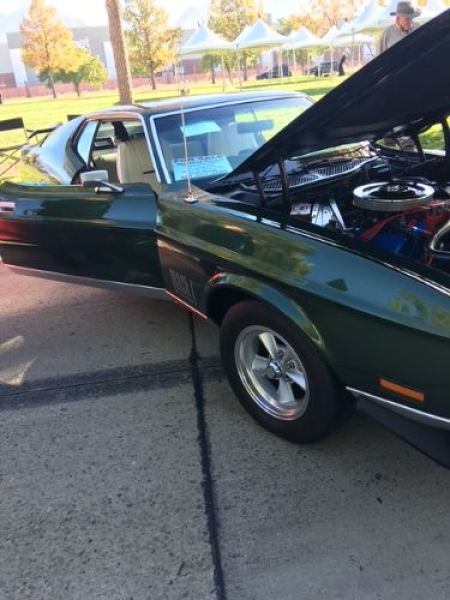 1971 Ford Mustang for sale in Michigan (ID-136719)