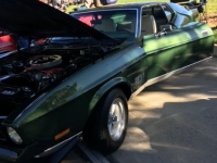 1971 Ford Mustang for sale in Michigan (ID-136719)