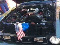 1971 Ford Mustang for sale in Michigan (ID-136719)