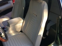 1971 Ford Mustang for sale in Michigan (ID-136719)