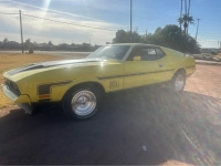 1971 Ford Mustang for sale in Michigan (ID-137132)