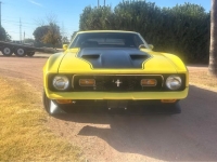 1971 Ford Mustang for sale in Michigan (ID-137132)