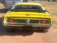 1971 Ford Mustang for sale in Michigan (ID-137132)