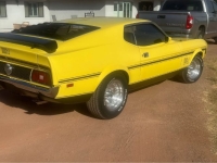 1971 Ford Mustang for sale in Michigan (ID-137132)
