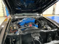 1971 Ford Mustang for sale in Michigan (ID-137283)