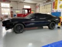 1971 Ford Mustang for sale in Michigan (ID-137283)
