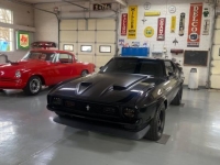 1971 Ford Mustang for sale in Michigan (ID-137283)