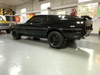 1971 Ford Mustang for sale in Michigan (ID-137283)