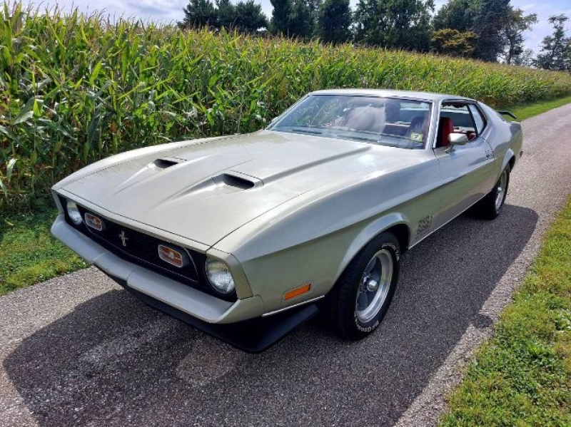 1971 Ford Mustang for sale in Michigan (ID-138909)