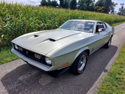 1971 Ford Mustang for sale