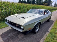 1971 Ford Mustang for sale in Michigan (ID-138909)