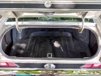 1971 Ford Mustang for sale in Michigan (ID-138909)