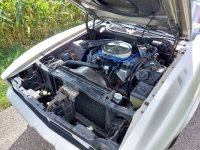 1971 Ford Mustang for sale in Michigan (ID-138909)