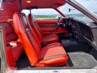 1971 Ford Mustang for sale in Michigan (ID-138909)