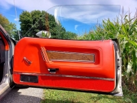1971 Ford Mustang for sale in Michigan (ID-138909)