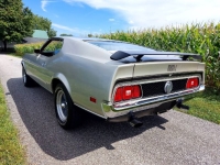 1971 Ford Mustang for sale in Michigan (ID-138909)
