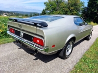 1971 Ford Mustang for sale in Michigan (ID-138909)