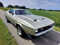 1971 Ford Mustang for sale in Michigan (ID-138909)