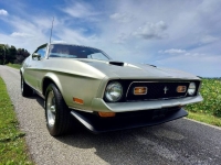 1971 Ford Mustang for sale in Michigan (ID-138909)