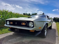 1971 Ford Mustang for sale in Michigan (ID-138909)