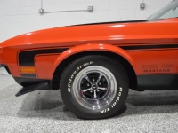 1971 Ford Mustang for sale in Michigan (ID-142169)