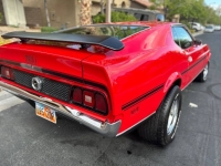 1971 Ford Mustang for sale in Michigan (ID-142183)