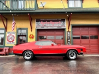 1971 Ford Mustang for sale in Riverhead, New York (ID-144445)