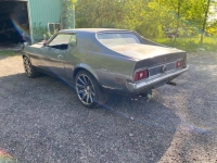 1971 Ford Mustang for sale in Michigan (ID-155694)