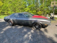 1971 Ford Mustang for sale in Michigan (ID-155694)